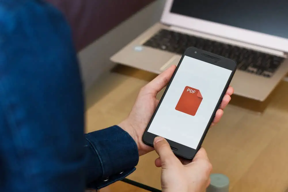 Factors Causing Your PDFs to Keep Launching in Chrome