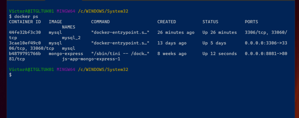 Docker run Command Examples