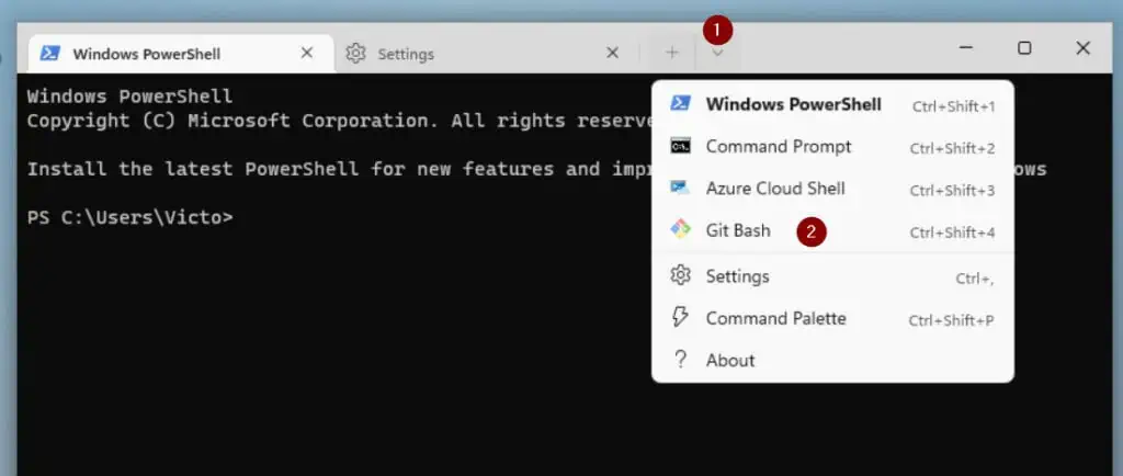 Install DevOps Tools on a Windows PC - Git Bash in Windows Terminal