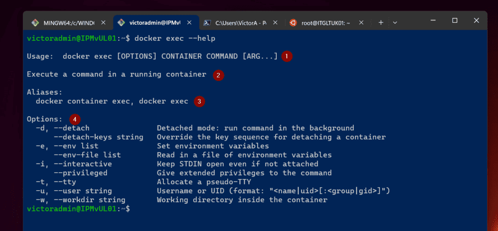 Overview and Command Syntax of the Docker Exec -it Command