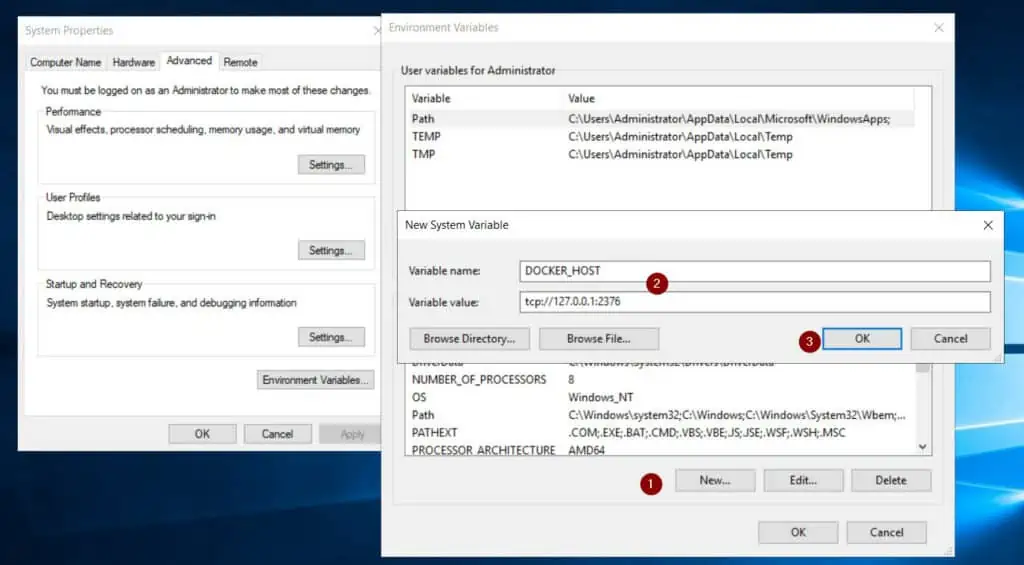 How to Install Docker CE on a Windows Server VM - create the DOCKER_HOST environment variable. 