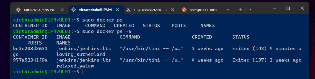 How to Use the "Docker Exec -it" Command