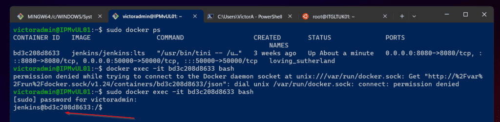Step 2: Log in to the Docker Container with Docker Exec