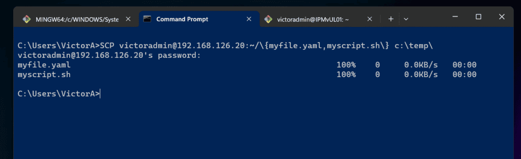 transfer files from Linux Server to Windows