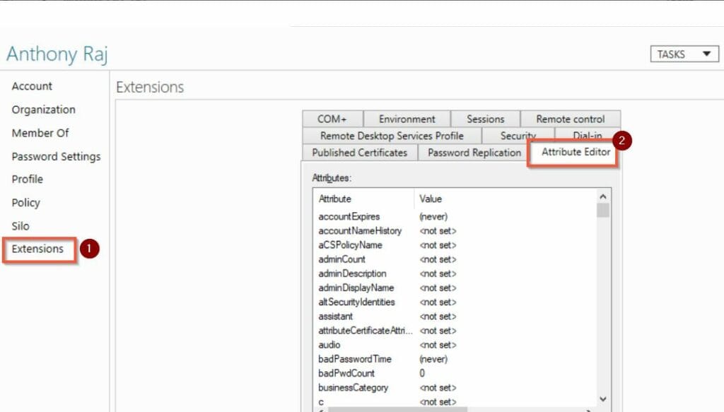 Finally, click Extensions and click on the Attribute Editor tab