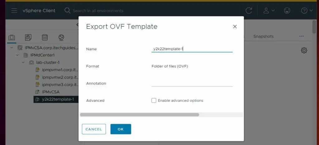 Then, on the pop-up window, give the template a name (the default is the name of the VM), and click OK.