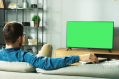 VIZIO D48-D0
